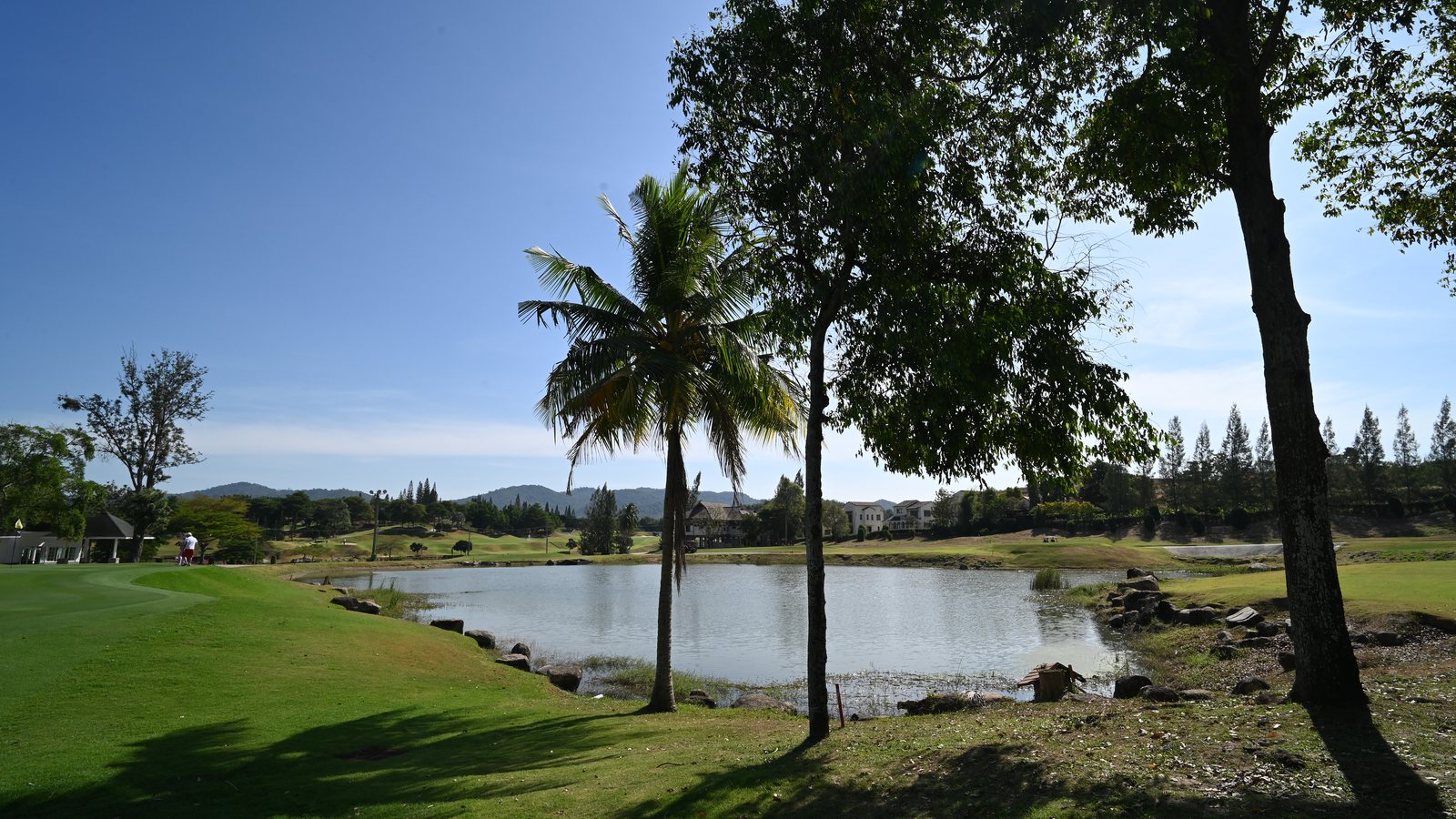 Sunlit golf course pond framed by palm trees